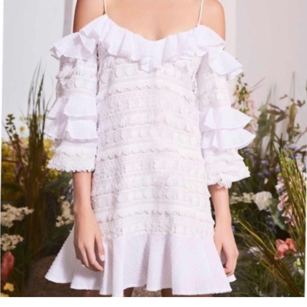 Alexis Calypso Shoulder Embroidered Dress White Size Xs